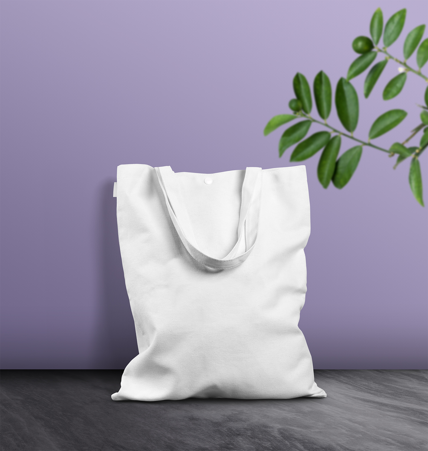 Download View Canvas Bag Mockup Free Download Background ...