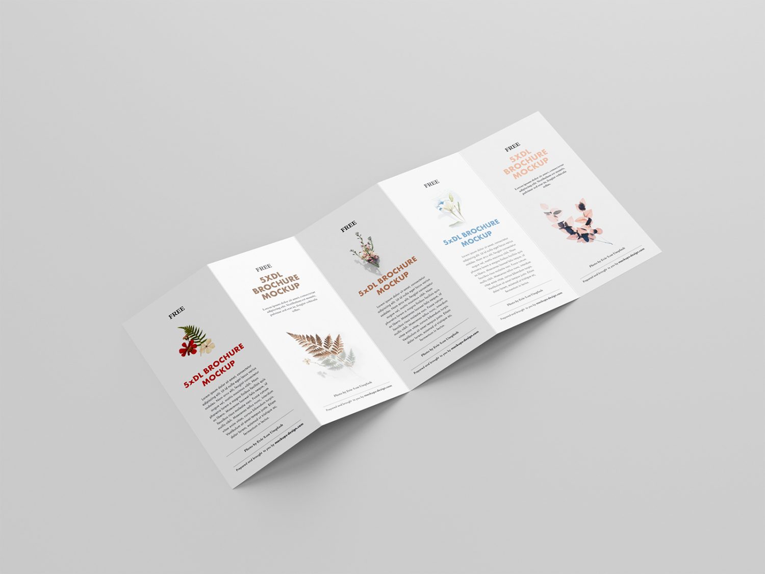 5 Fold Accordion Brochure Mockup | Free Mockup