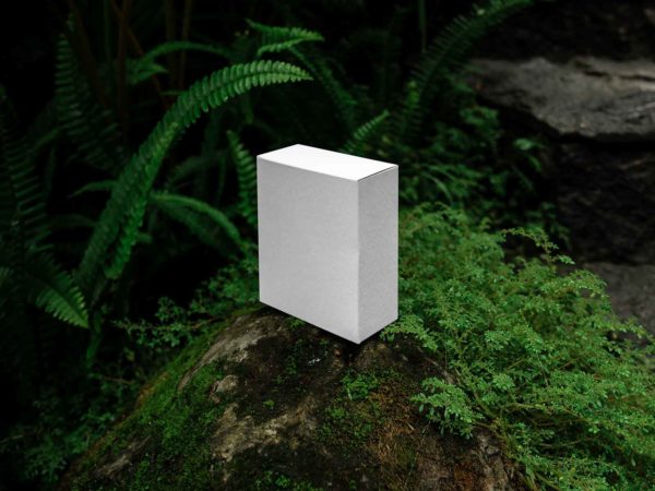 Free box mockup in a forest