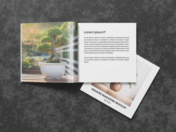 Top View Square Magazine Free Mockup