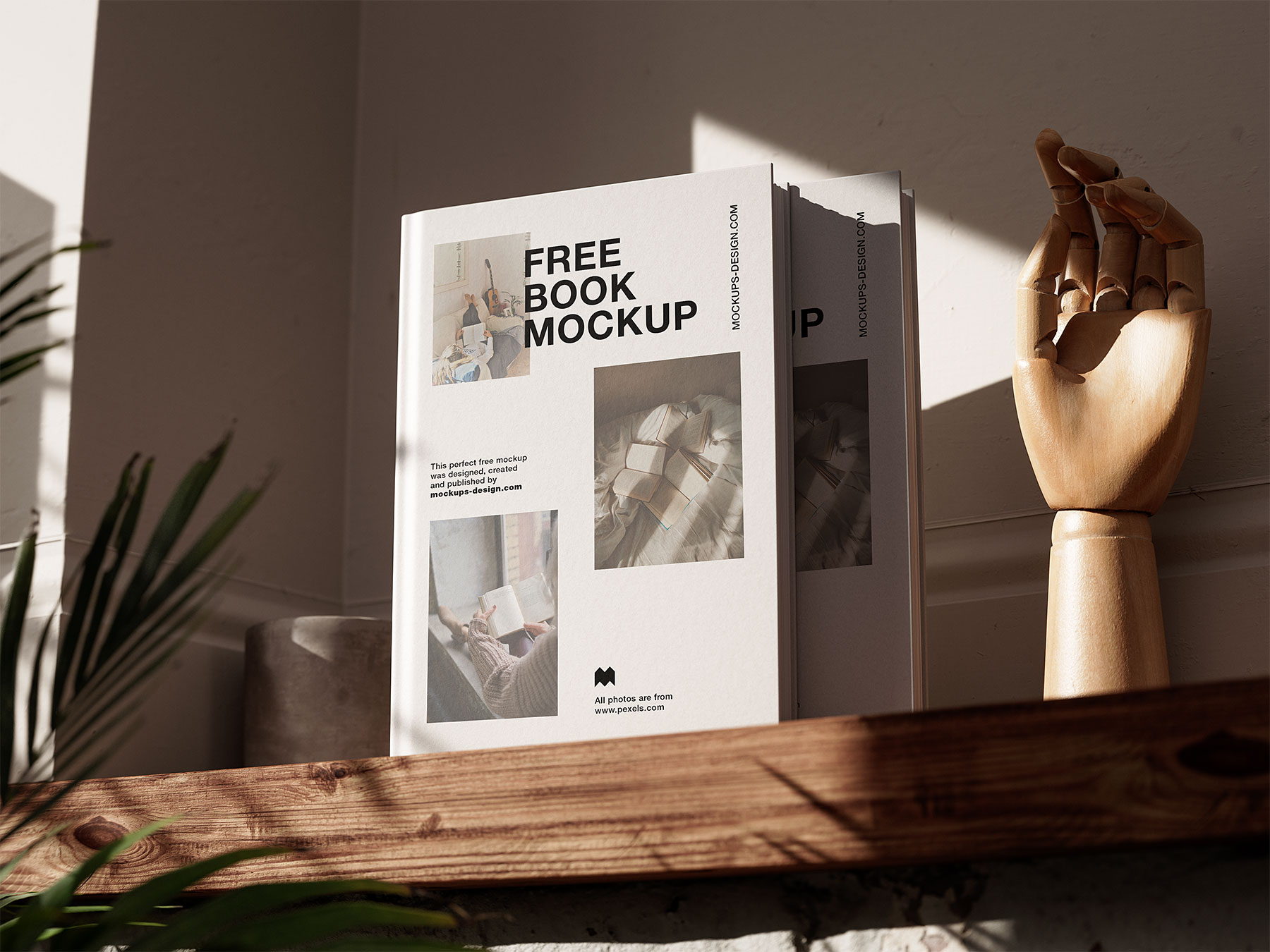 Free Mockups of Two Books on a Wooden Shelf